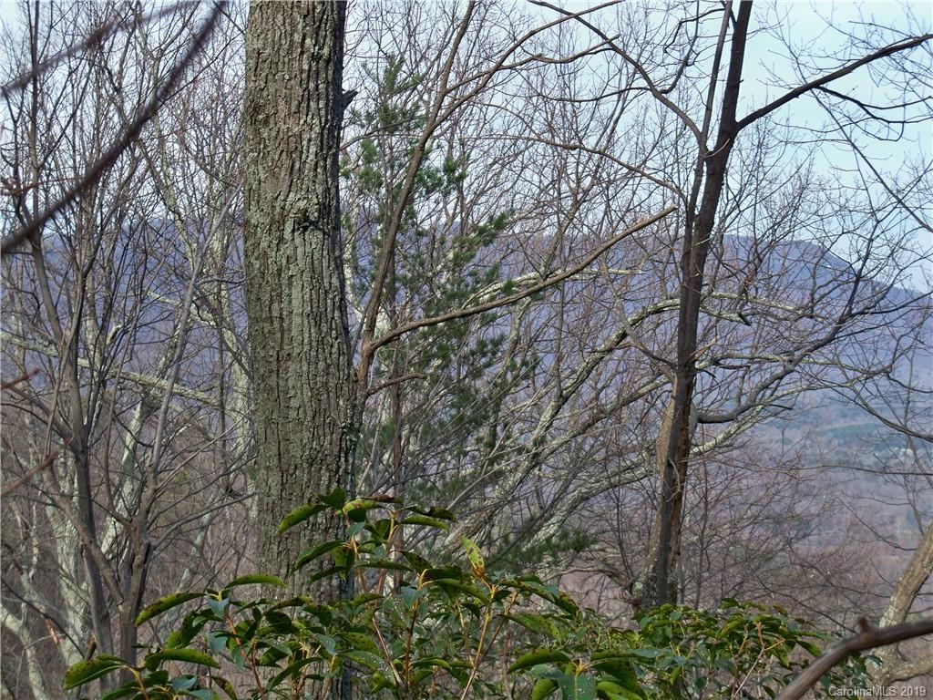 0 Hogback Mountain Road, Unit LOT #66 Tryon, NC 28782 - Photo 4 of 7