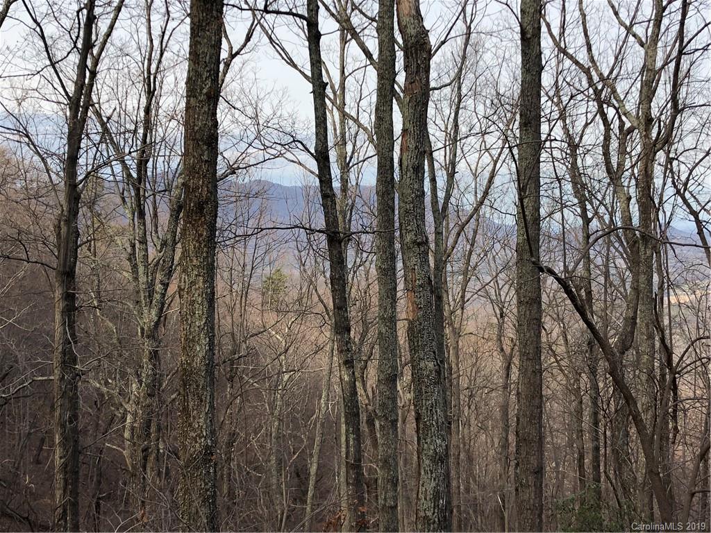 0 Hogback Mountain Road, Unit LOT #66 Tryon, NC 28782 - Photo 6 of 7
