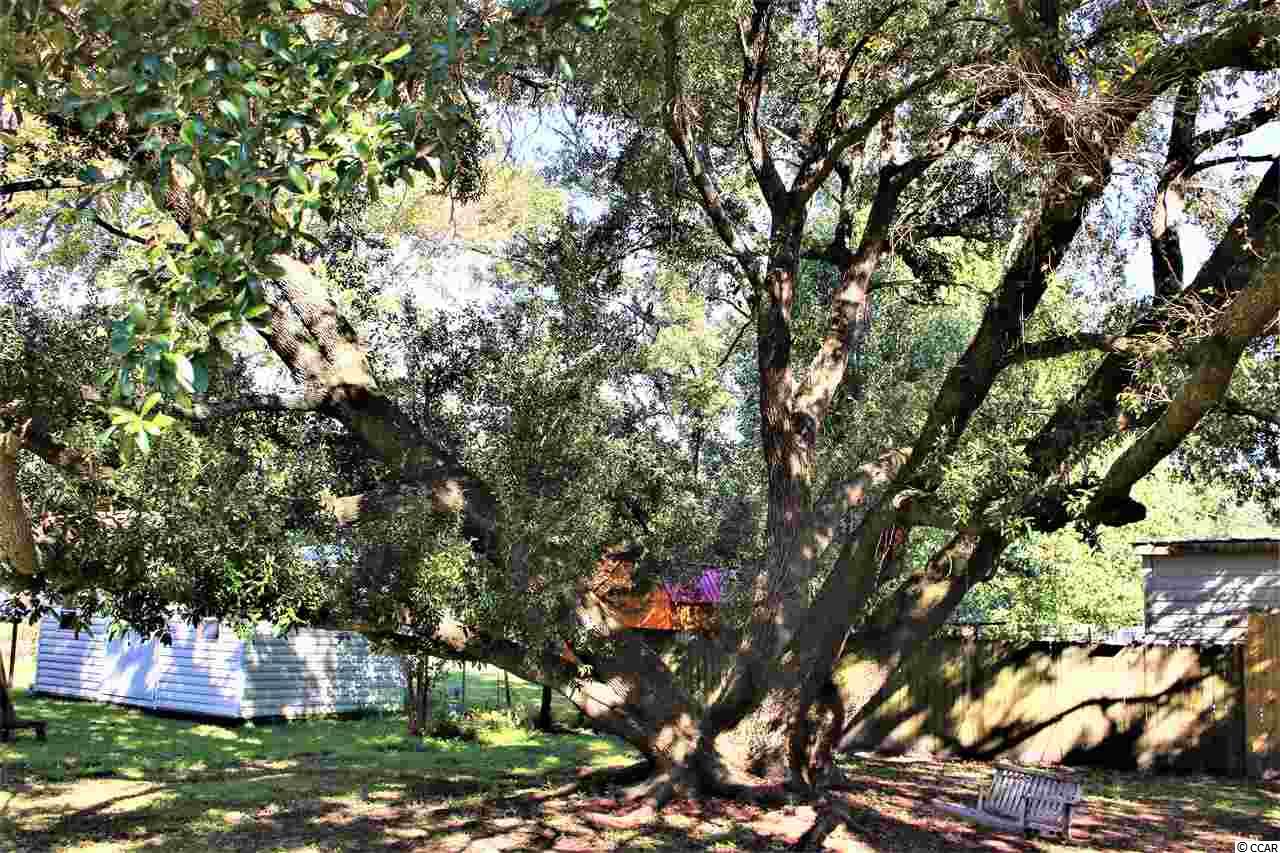 1919 Middleton Street Georgetown, SC 29440 - Photo 14 of 16 Gallery Image 14