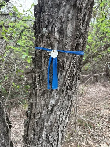 $55,000 | 6205 Valleyview Street, Lago Vista, TX 78645