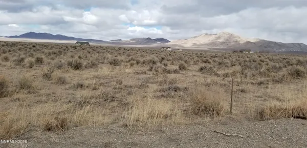 a view of a dry yard