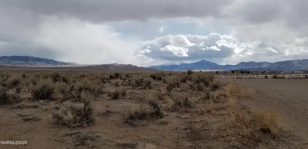 a view of a lake in middle of forest