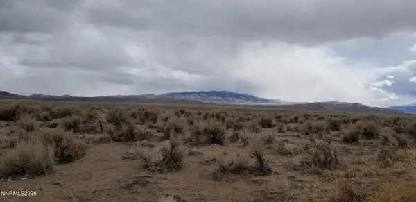 a view of a field with trees in the background