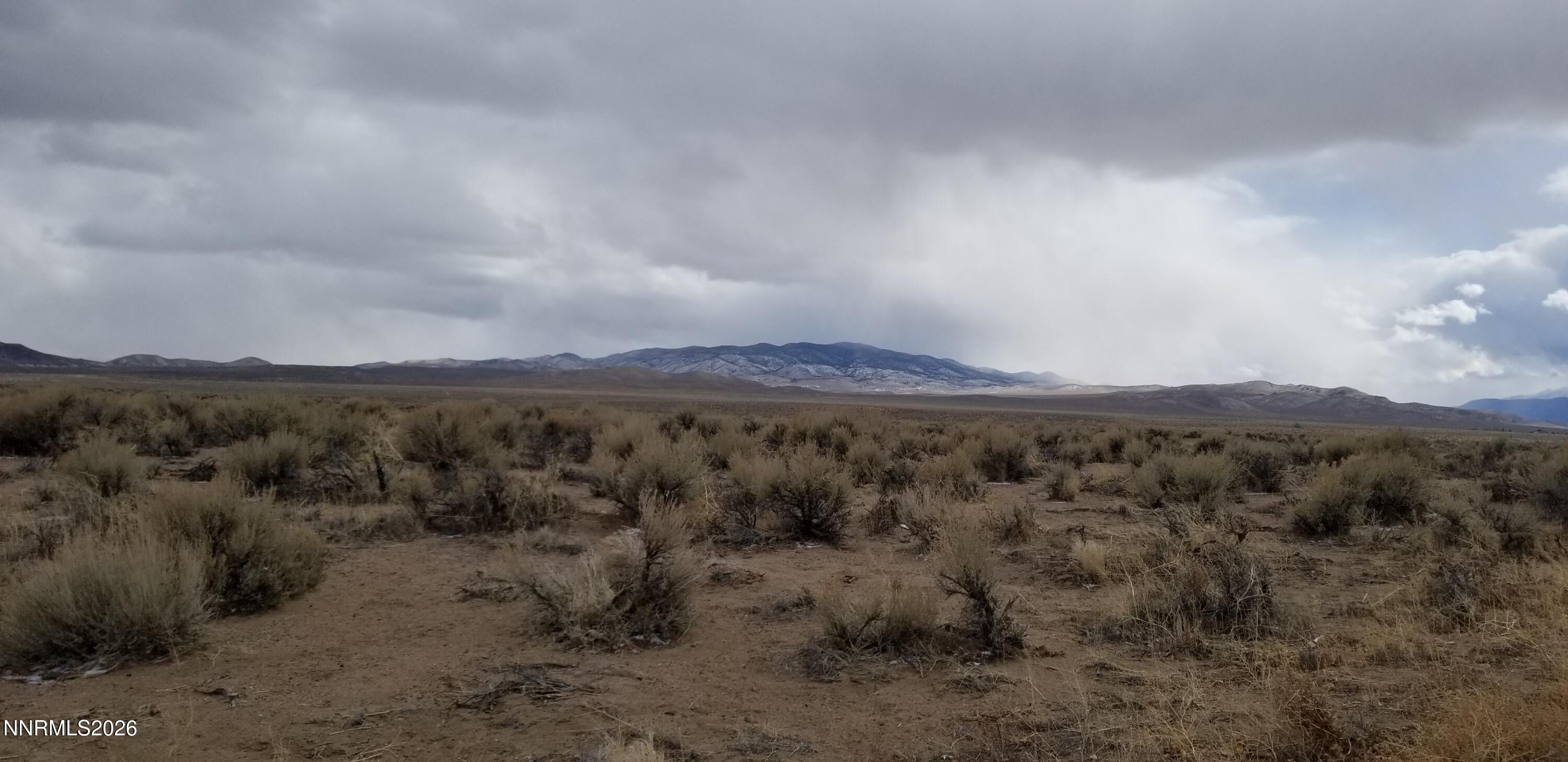 330 Eagle Place Smith, NV 89430 - Photo 4 of 4 a view of a field with trees in the background