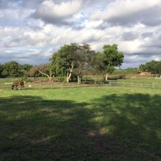 10245 La Reina Road Delray Beach, FL 33446 - Photo 3 of 4 IMG_1446