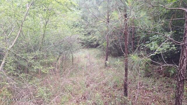 1048 Williamson Road Wesson, MS 39191 - Photo 9 of 11 land 03