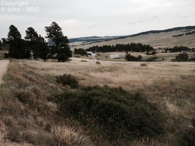18715 Pinon Park Road Peyton, CO 80831 - Photo 3 of 6 Gallery Image 3