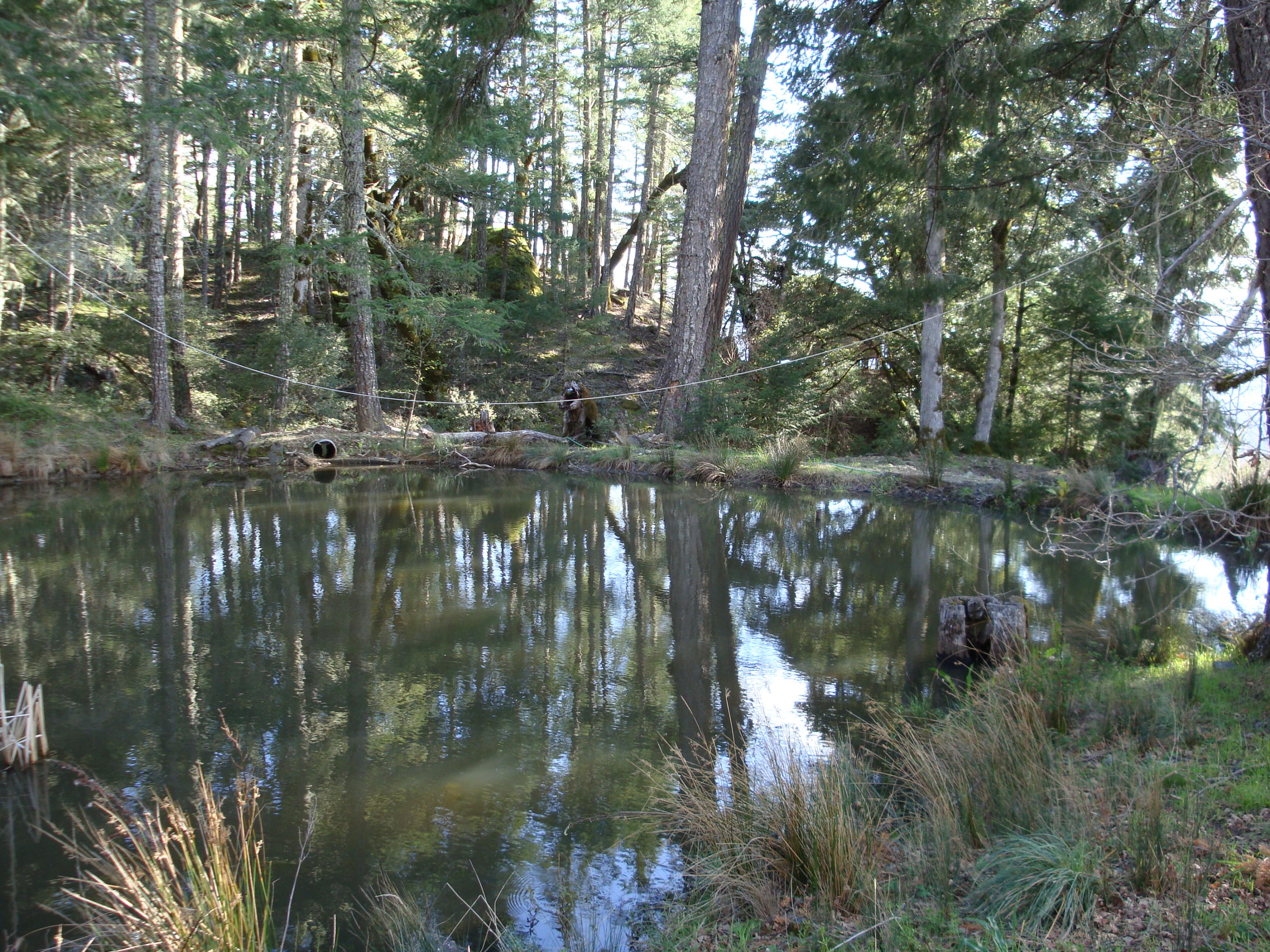 0 Buck Mountain Road Bridgeville, CA 95526 - Photo 5 of 33