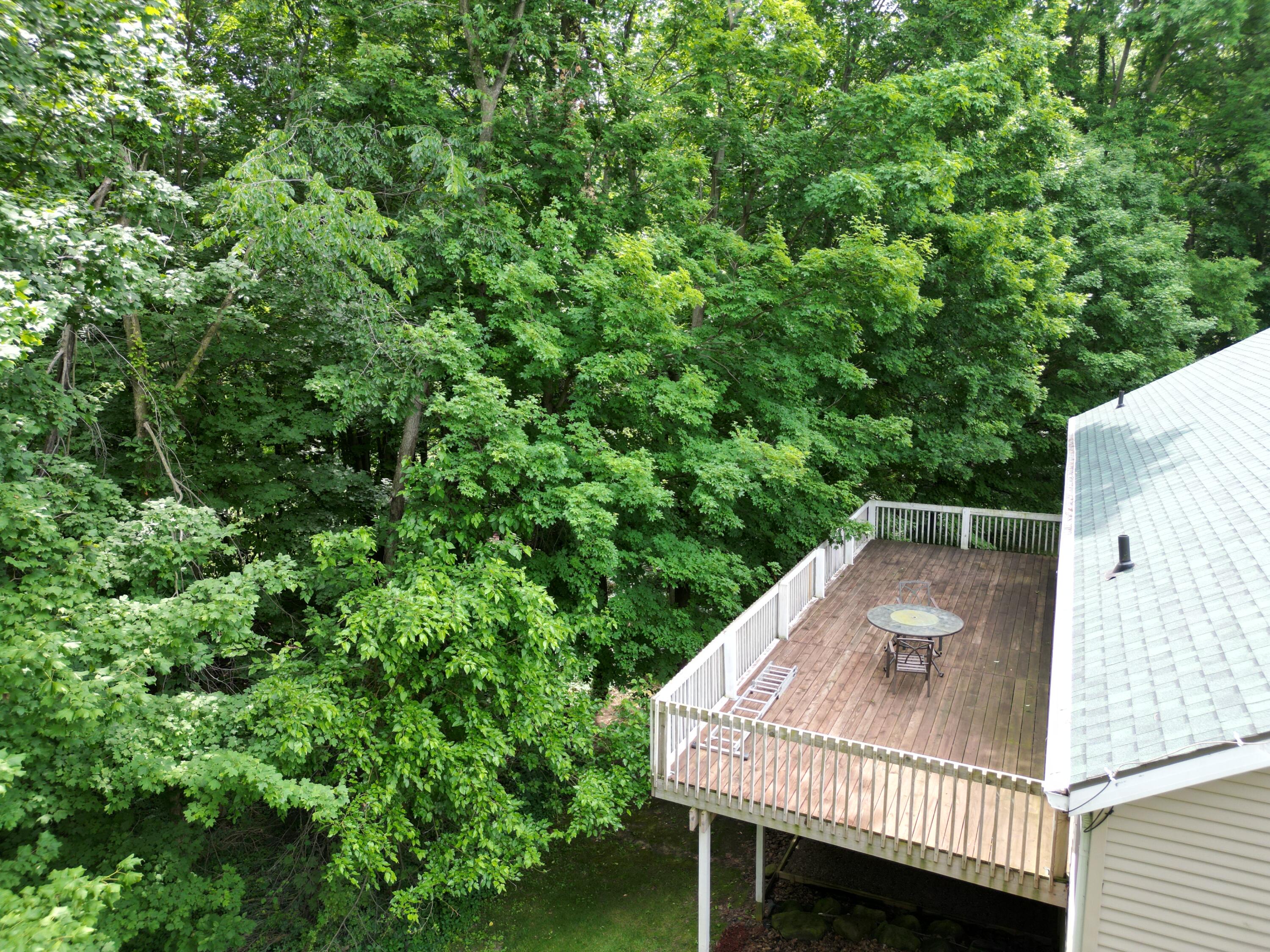 5441 Crooked Crk Road Saranac, MI 48881 - Photo 29 of 49 DJI_0642