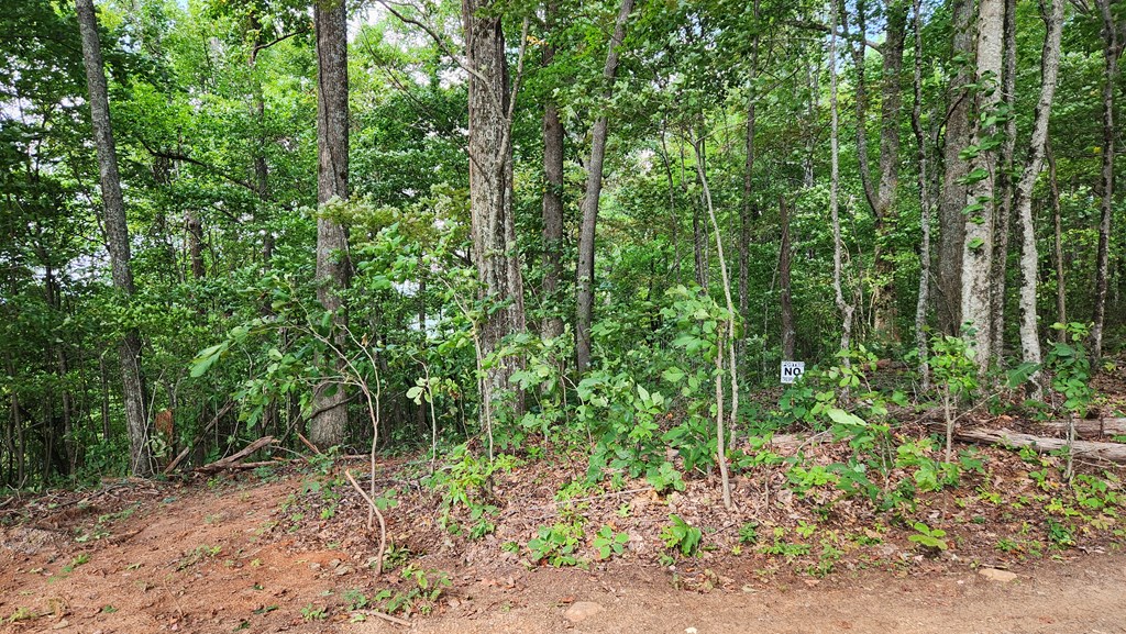 Lot 32 Calvender Road Turtletown, TN 37391 - Photo 14 of 15 Gallery Image 14
