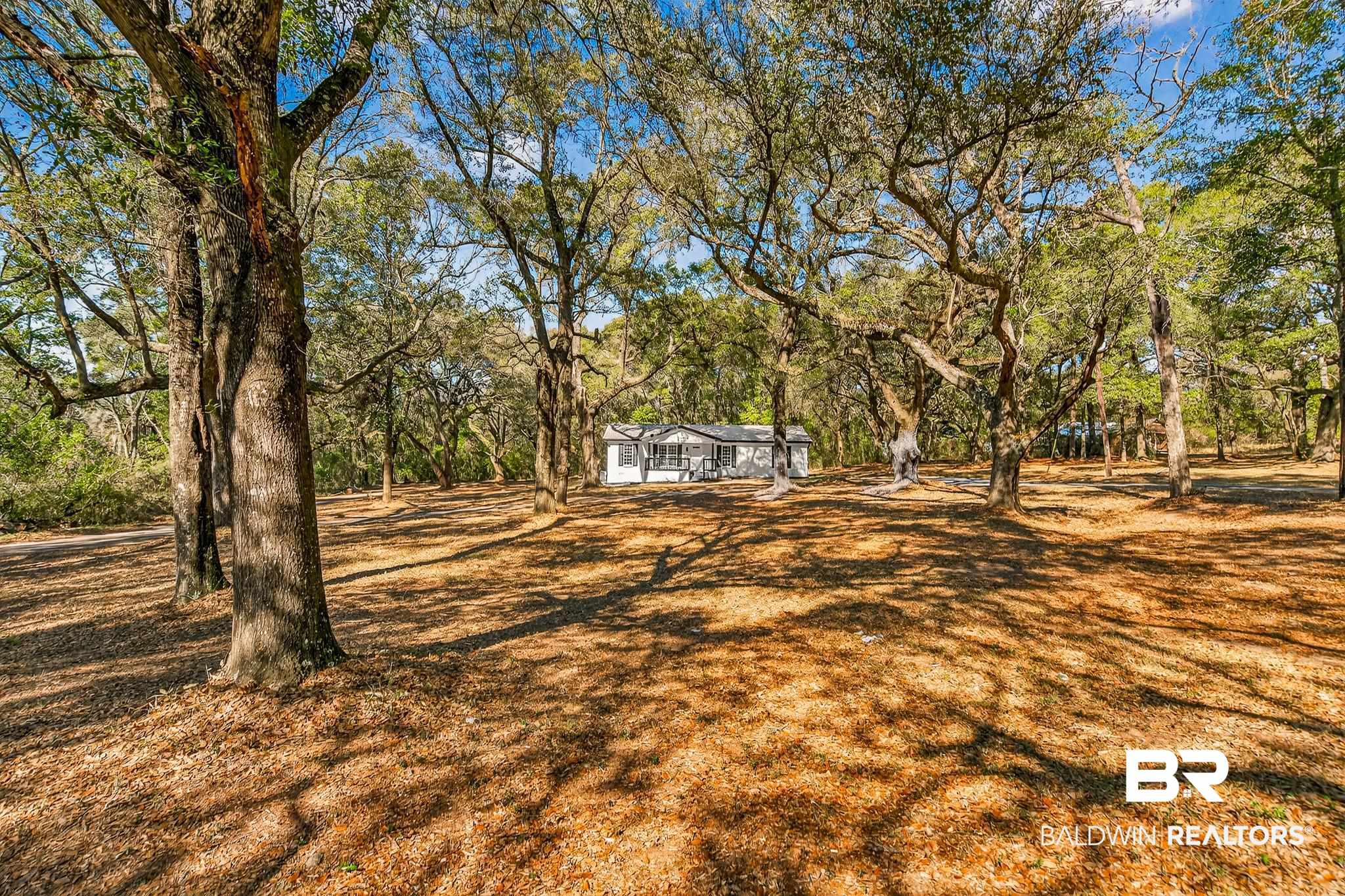 10650 Old Pascagoula Road Theodore, AL 36582 - Photo 9 of 77 View of yard with view of scattered trees