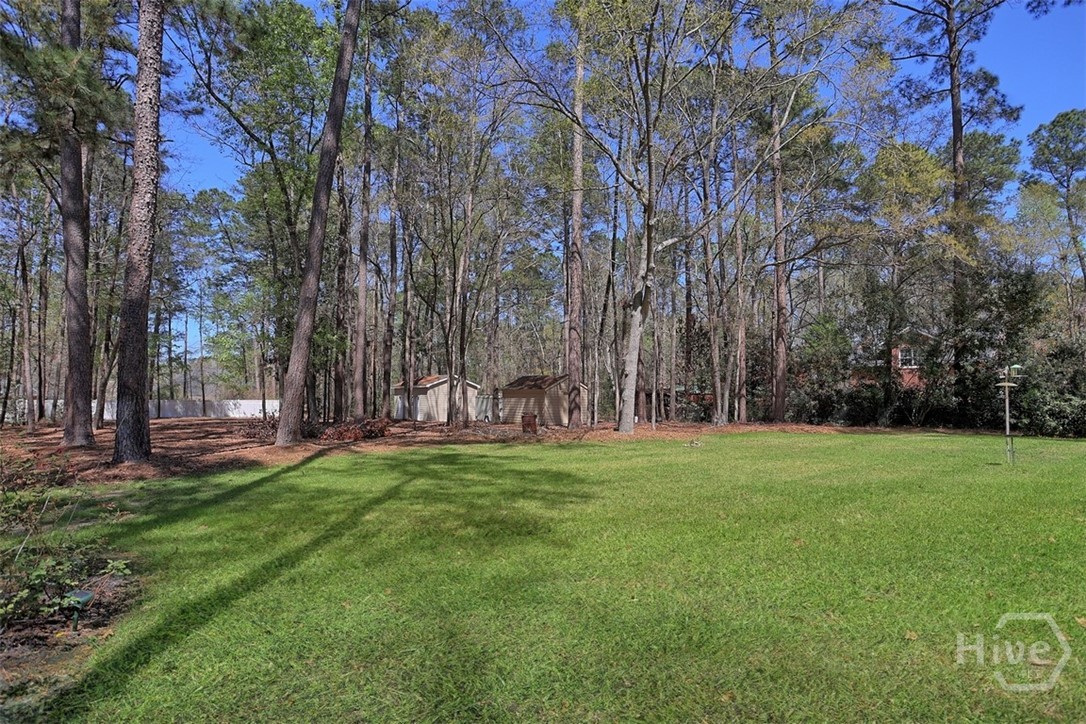 105 Willowpeg Road Rincon, GA 31326 - Photo 46 of 55