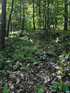 a view of a lake with a mountain in the background