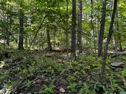 an outdoor space with garden view