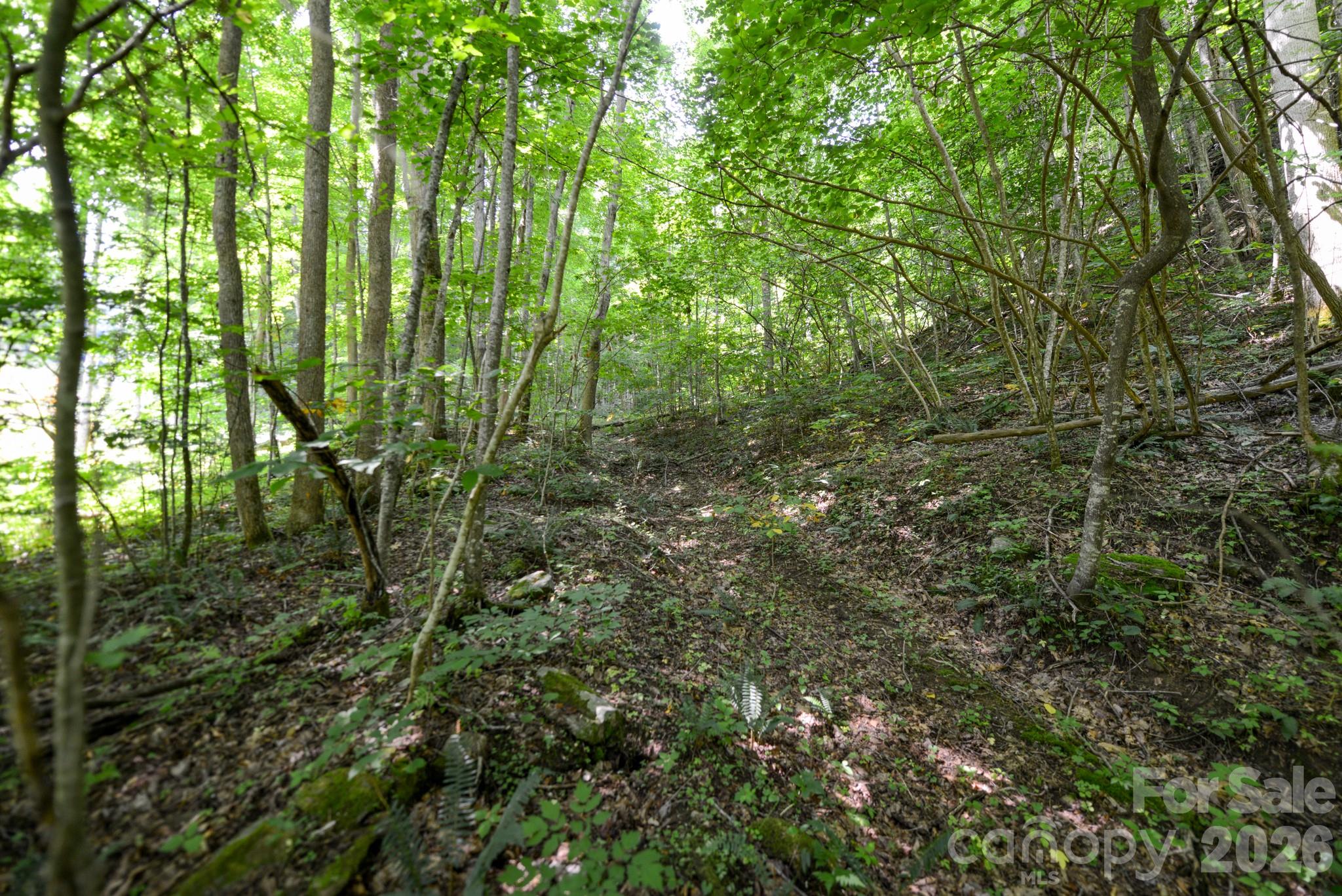 ### Board Tree Road, Unit 2 Marshall, NC 28753 - Photo 8 of 18