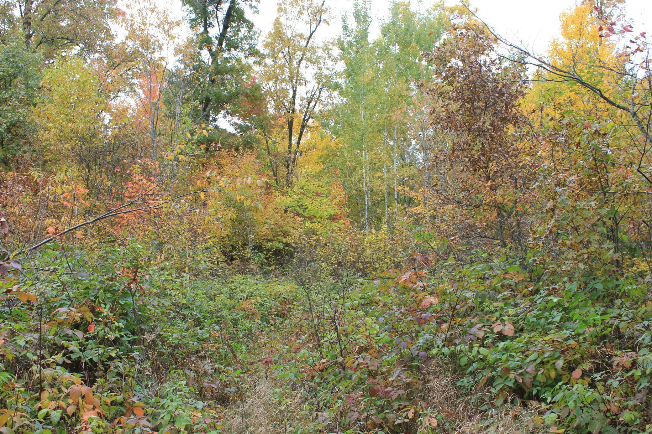 3-xxx Perida Road Webster, WI 54893 - Photo 25 of 54 Gallery Image 25