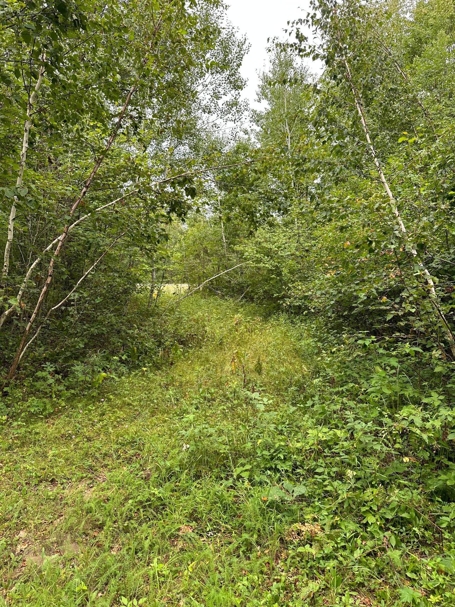 3-xxx Perida Road Webster, WI 54893 - Photo 37 of 54 Gallery Image 37