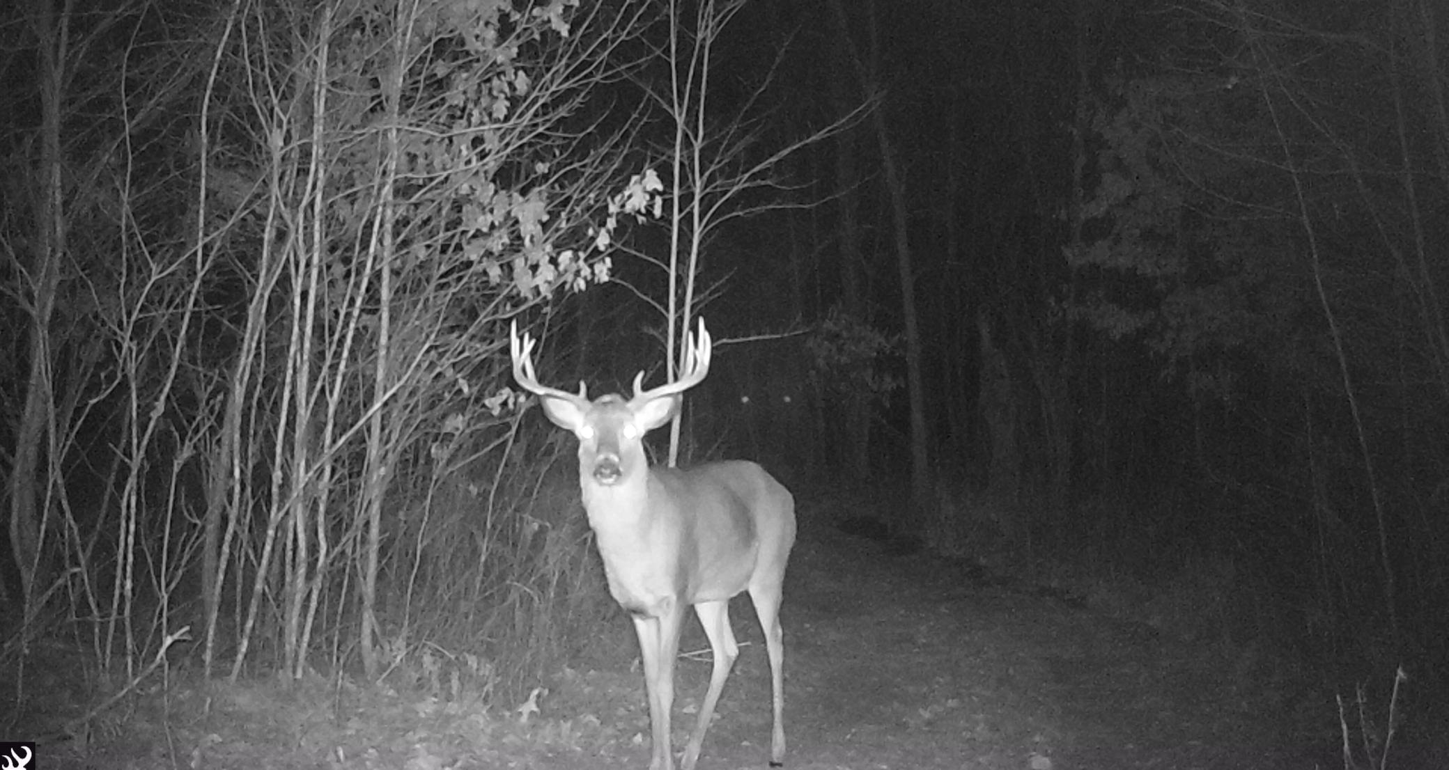 3-xxx Perida Road Webster, WI 54893 - Photo 4 of 54 Gallery Image 4