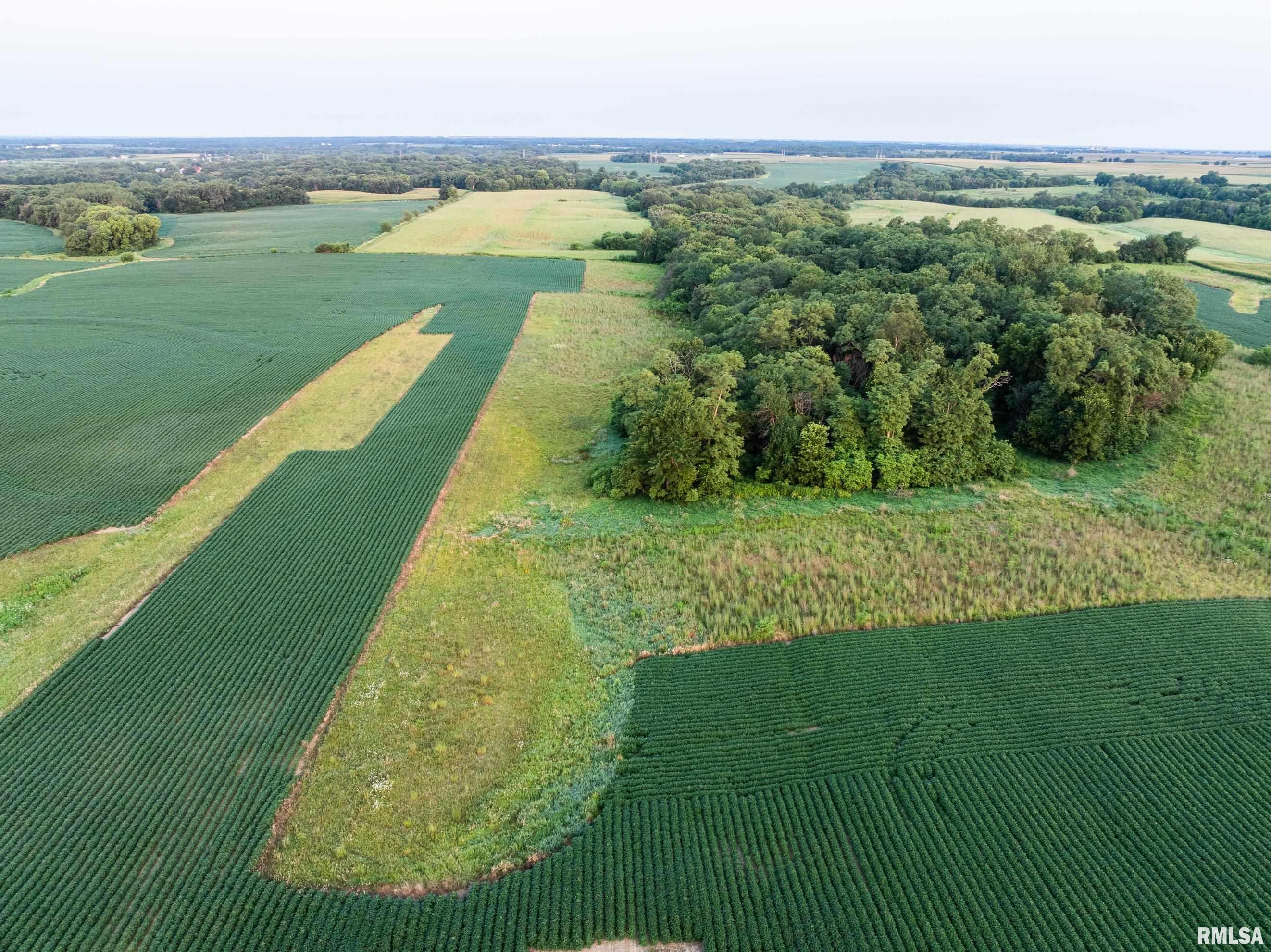 0 North Feucht Road Princeville, IL 61559 - Photo 13 of 26 Gallery Image 13