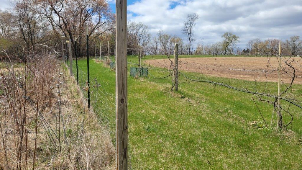 209 3rd Avenue Dent, MN 56528 - Photo 21 of 22