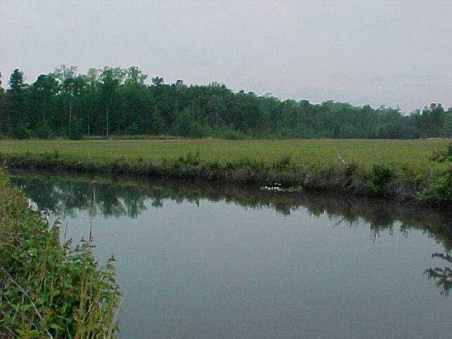 Primary Photo