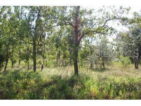 Lot 34 Southwest Lot Point Dunnellon, FL 34431 - Photo 1 of 1 Primary Photo