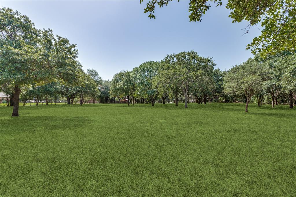 262 Turner Warnell Road Mansfield, TX 76063 - Photo 14 of 17 a backyard of a house with lots of green space