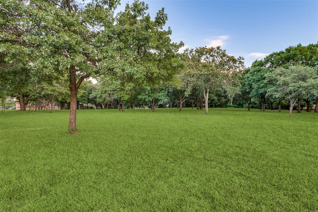 262 Turner Warnell Road Mansfield, TX 76063 - Photo 4 of 17 a grassy field with a tree in the background