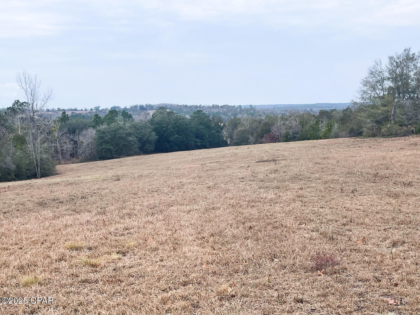 2025 Reedy Creek Road Alford, FL 32420 - Photo 16 of 41