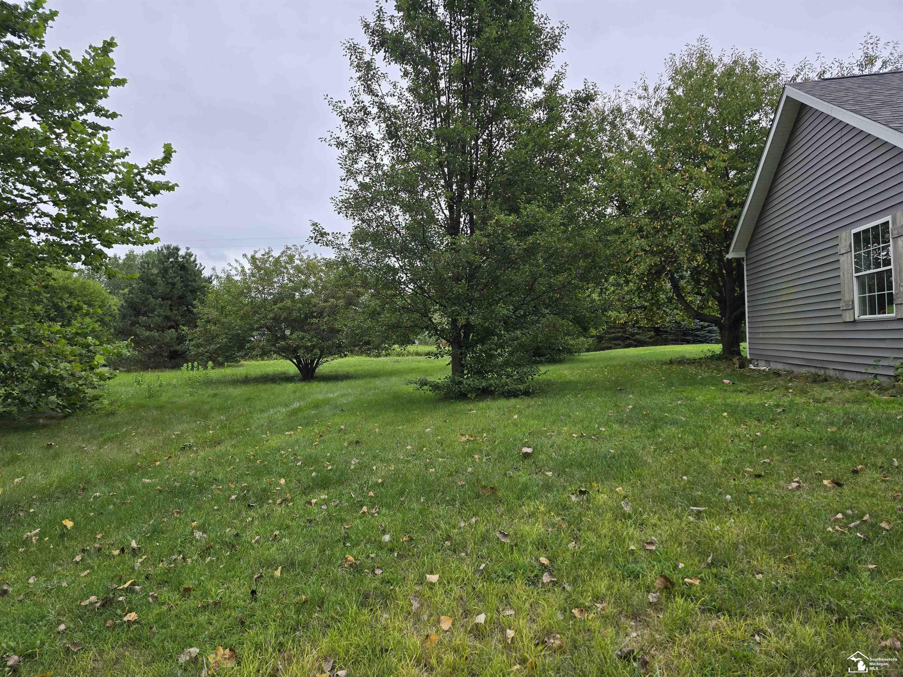 6654 Alcott Road Petersburg, MI 49270 - Photo 3 of 27