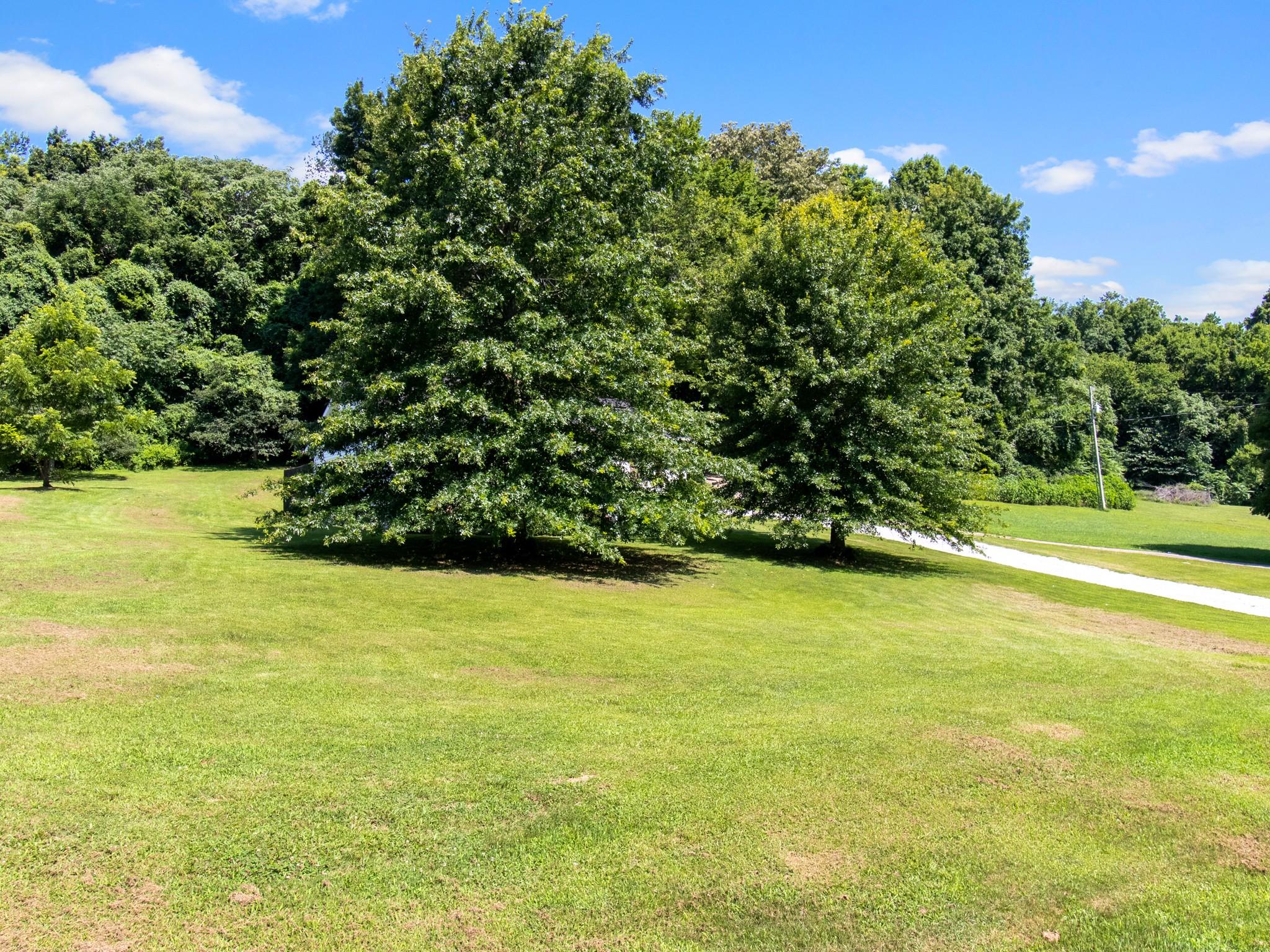 1300 Webb Road Lewisburg, TN 37091 - Photo 9 of 40 Gallery Image 9