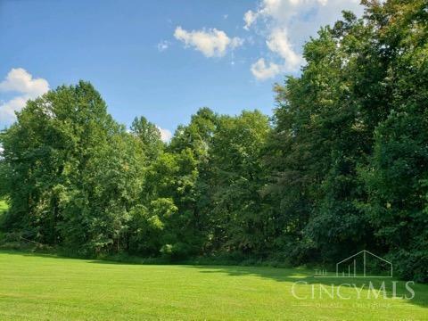 4650 Sunshine Ridge Road Blue Creek, OH 45616 - Photo 9 of 11