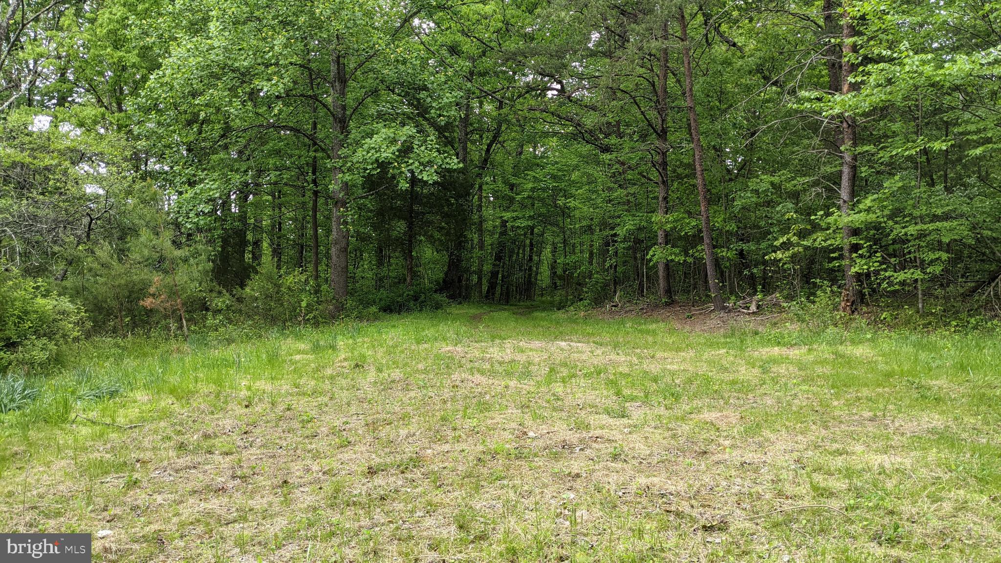 6122 Slate Mills Road Boston, VA 22713 - Photo 14 of 17 Gallery Image 14
