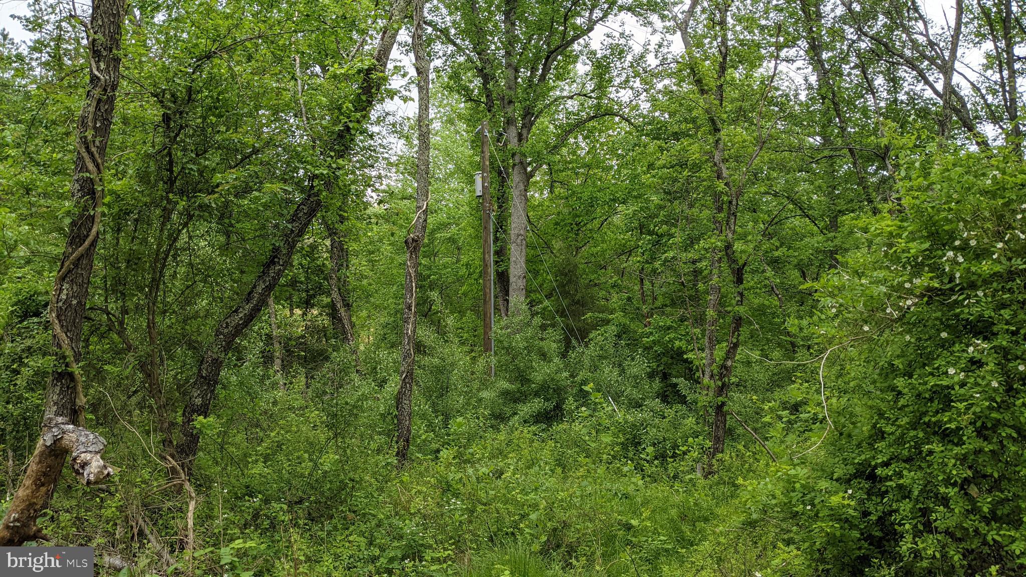 Gallery Image 7