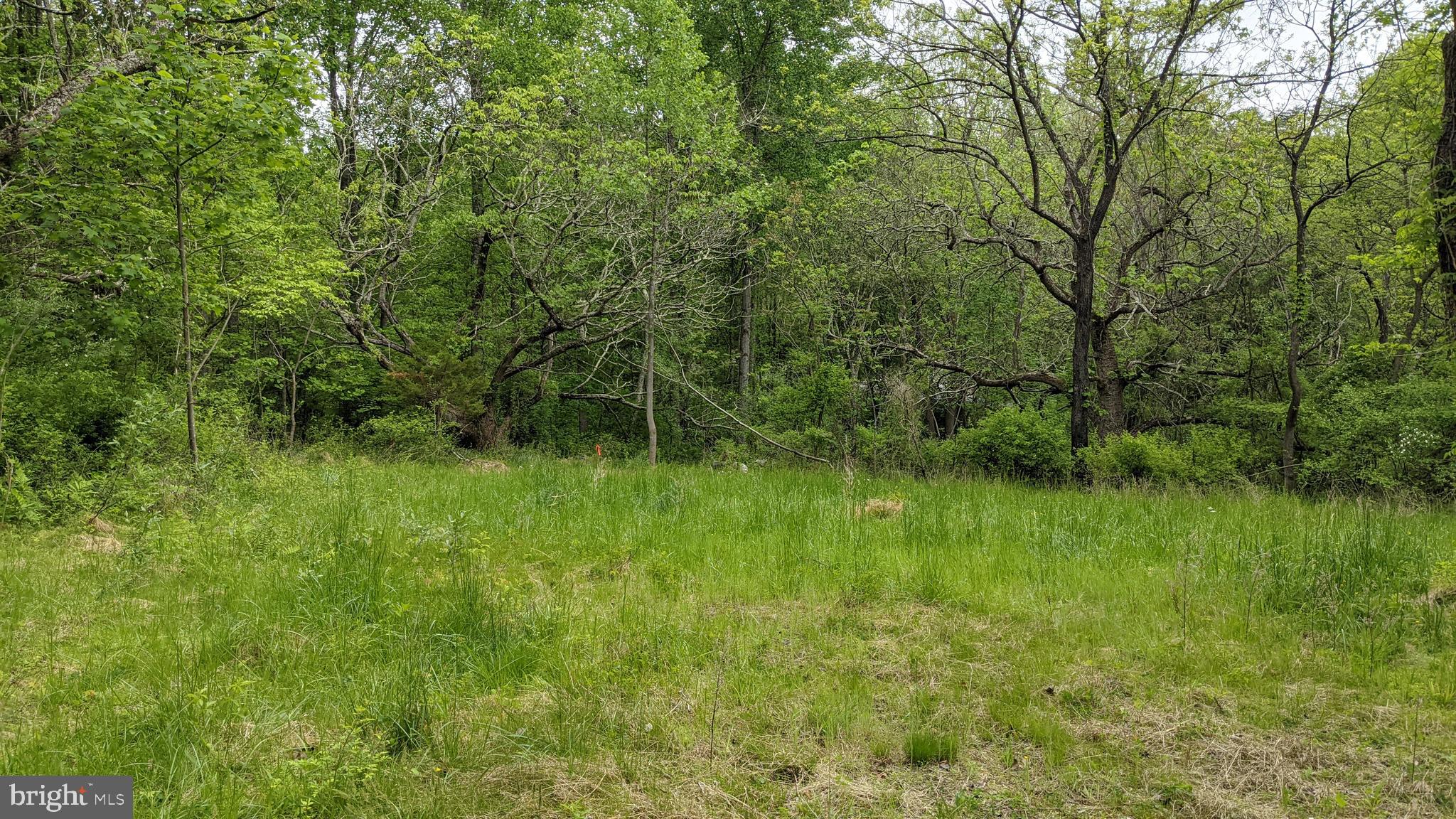 6122 Slate Mills Road Boston, VA 22713 - Photo 8 of 17 Gallery Image 8