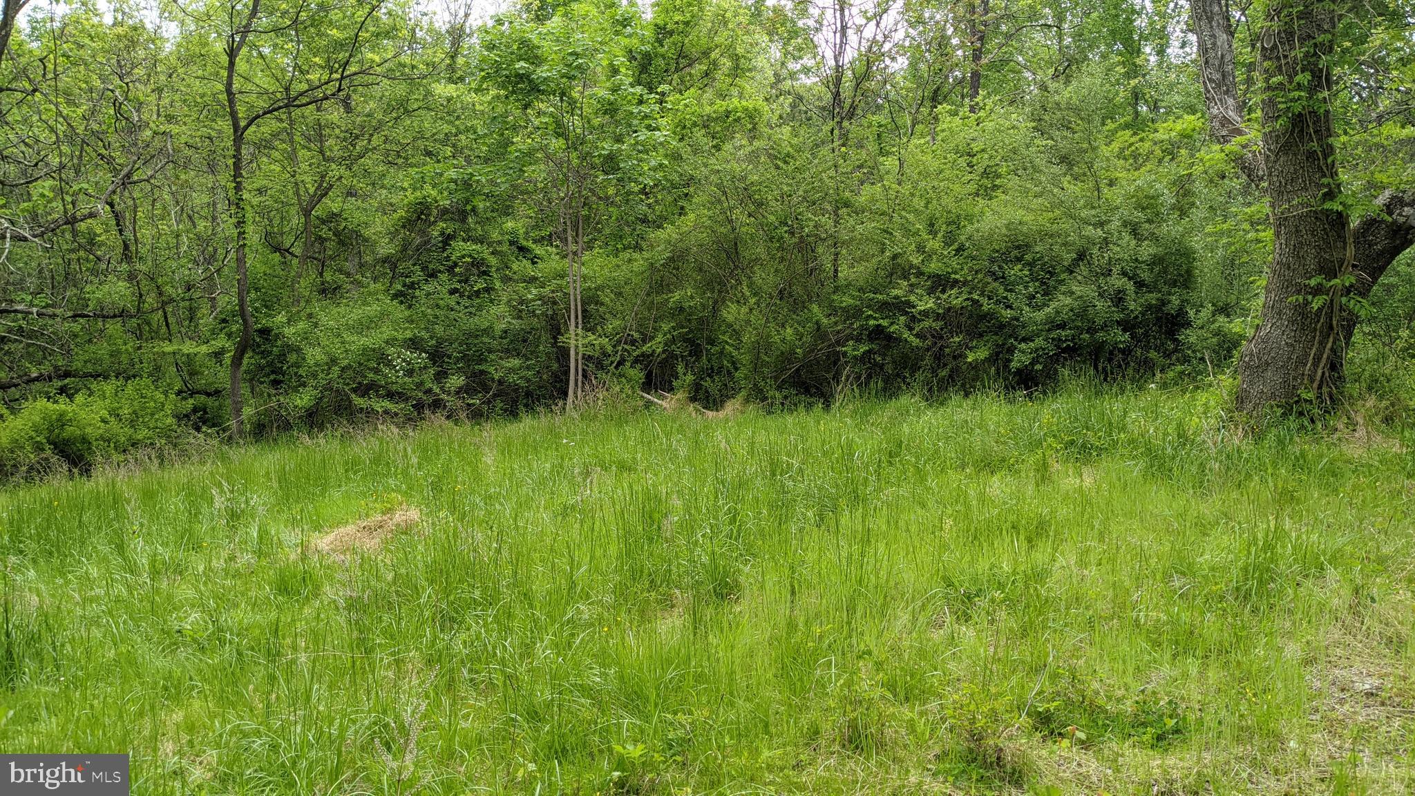 6122 Slate Mills Road Boston, VA 22713 - Photo 10 of 17 Gallery Image 10