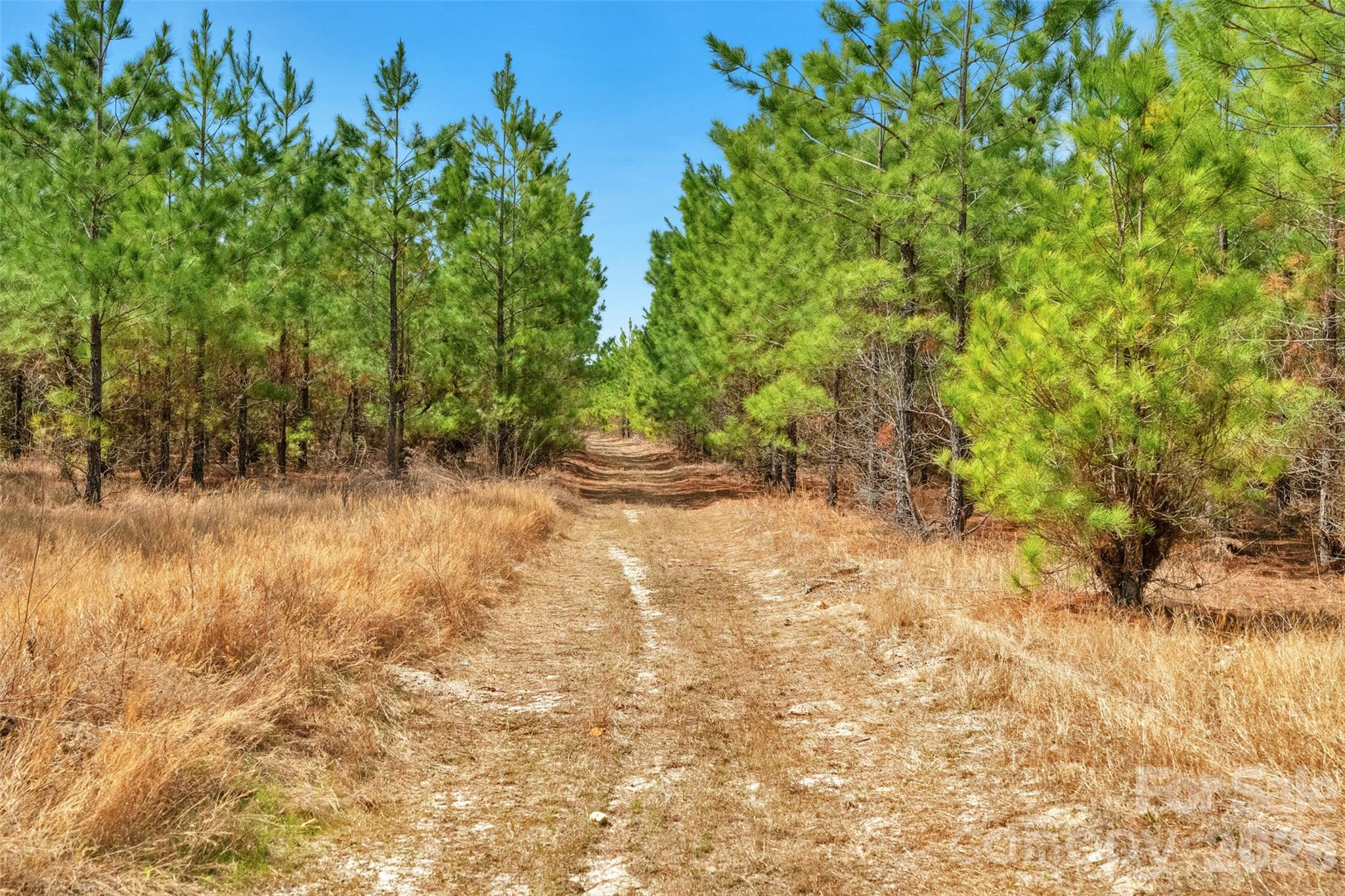 931 Charlie Johnson Road, Unit 2 Kershaw, SC 29067 - Photo 29 of 35