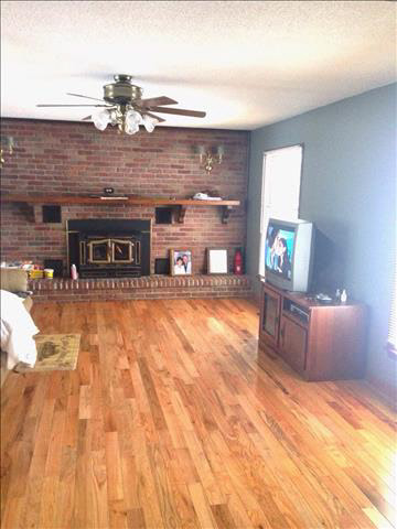 4571 Douglas Road Ida, MI 48140 - Photo 11 of 18 living room