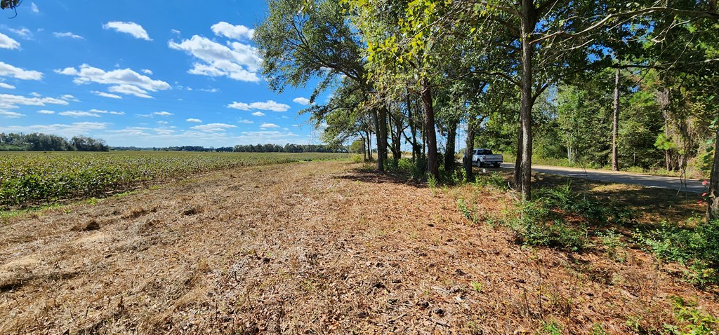 92 County Road 92 Slocomb, AL 36375 - Photo 9 of 32