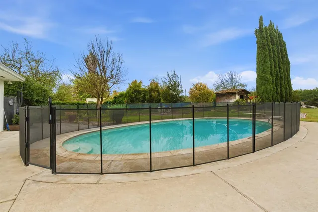 a view of a garden with a bench in a garden