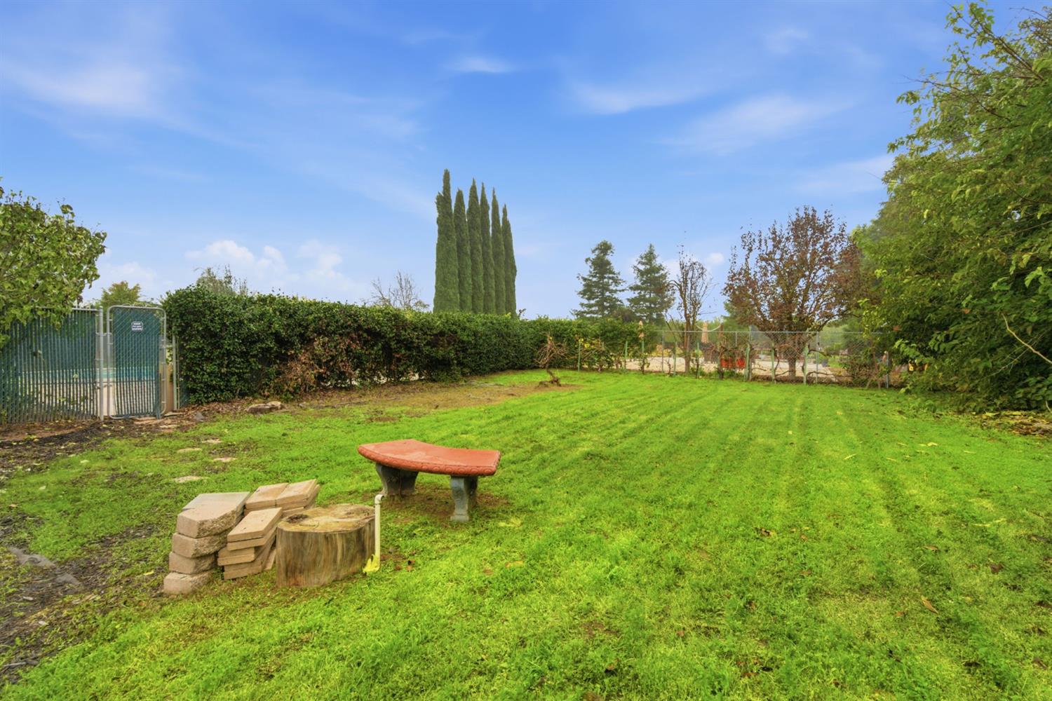 15581 French Camp Road Ripon, CA 95366 - Photo 33 of 54 a view of a garden with a bench in a garden