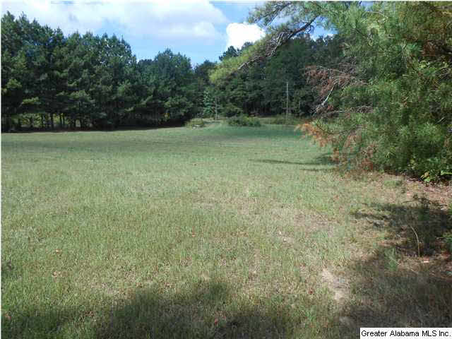 311 Sullivan Lane, Unit 4 5 Springville, AL 35146 - Photo 11 of 17 Gallery Image 11