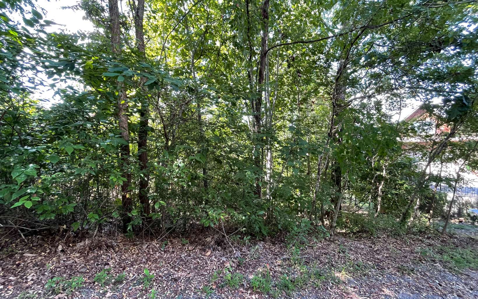 17 Ramey Mountain Road Hiawassee, GA 30546 - Photo 1 of 15 Main View
