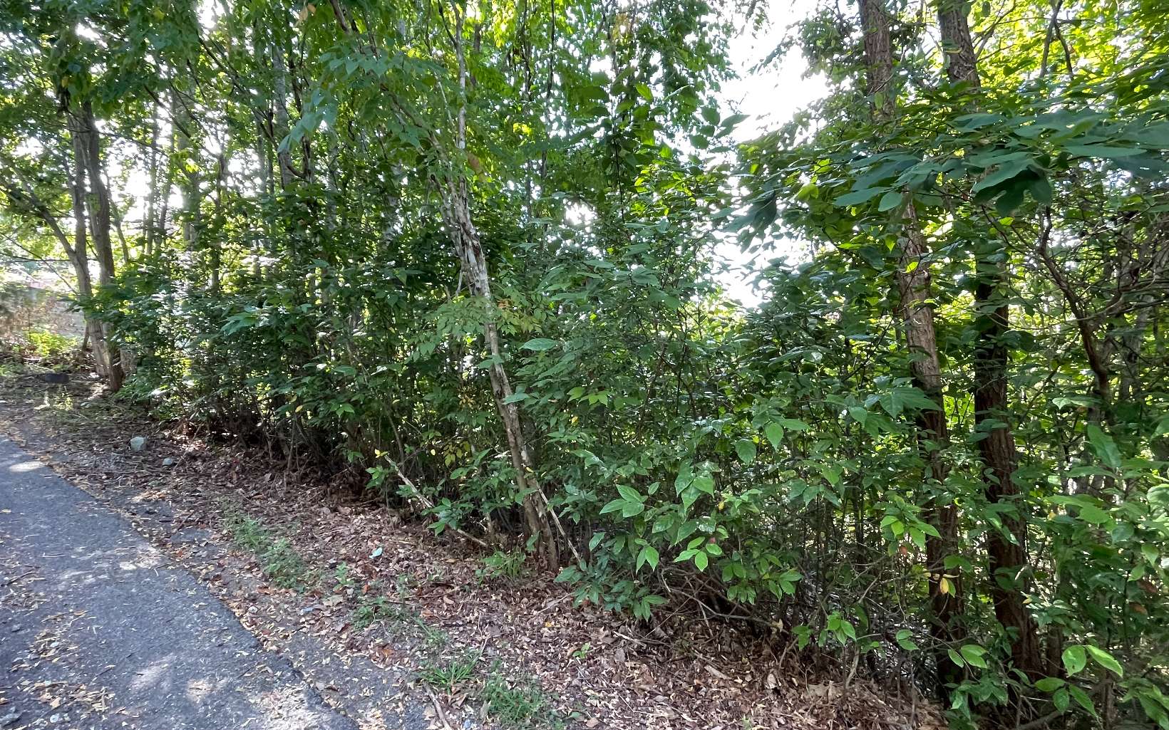 17 Ramey Mountain Road Hiawassee, GA 30546 - Photo 2 of 15 Additional View