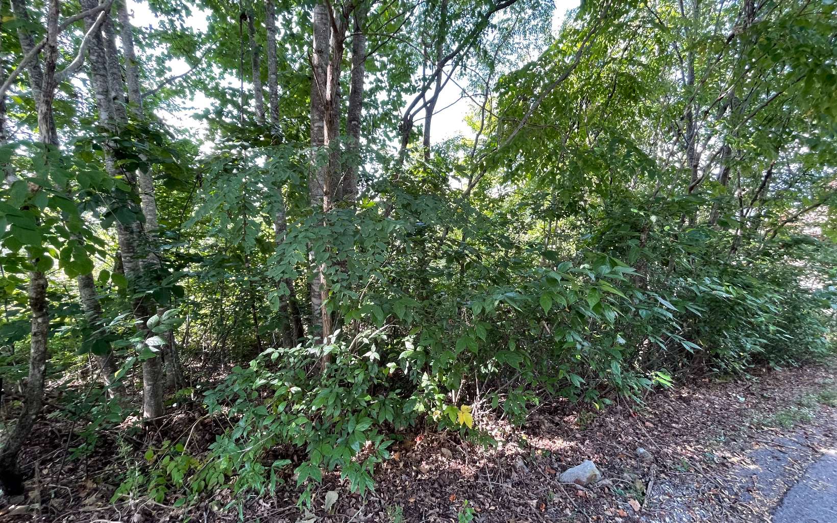 17 Ramey Mountain Road Hiawassee, GA 30546 - Photo 6 of 15 Additional View