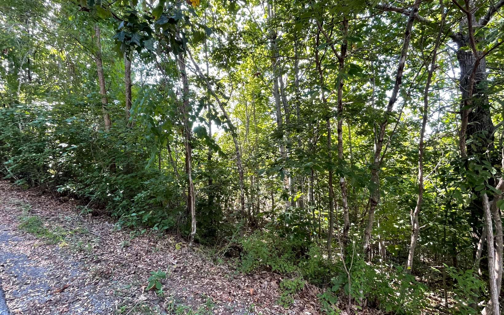 17 Ramey Mountain Road Hiawassee, GA 30546 - Photo 7 of 15 Additional View
