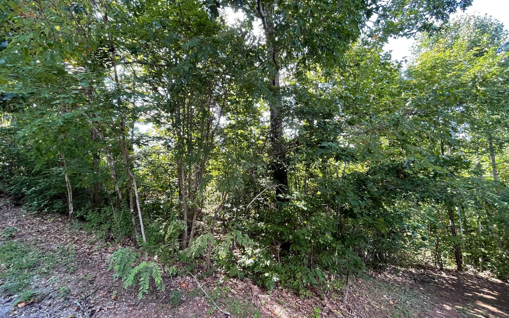 17 Ramey Mountain Road Hiawassee, GA 30546 - Photo 8 of 15 Additional View