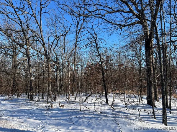 $29,900 | Partridge Drive, Climax Springs, MO 65324