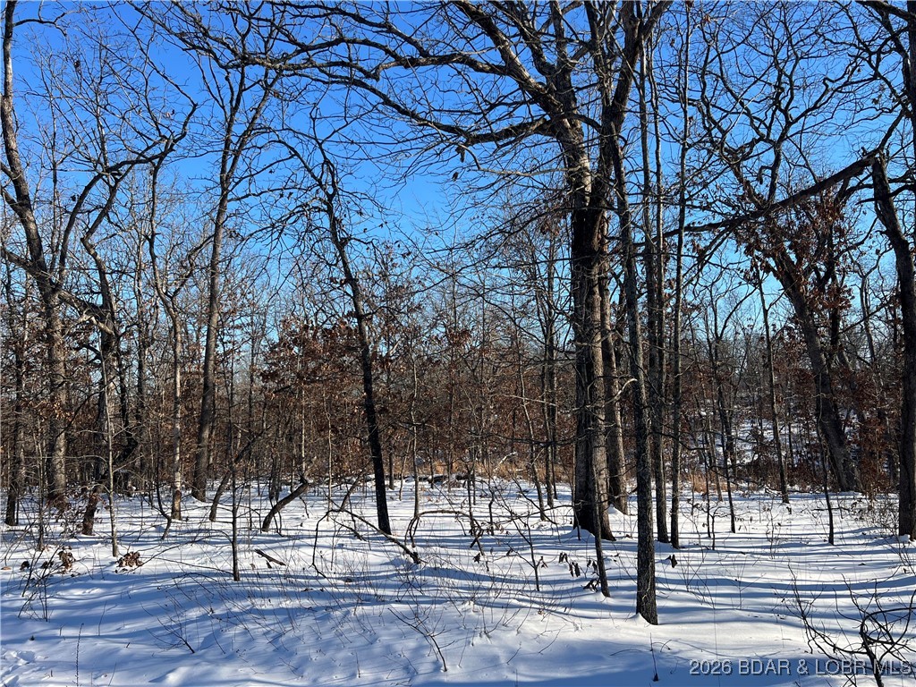 Partridge Drive Climax Springs, MO 65324 - Photo 12 of 27