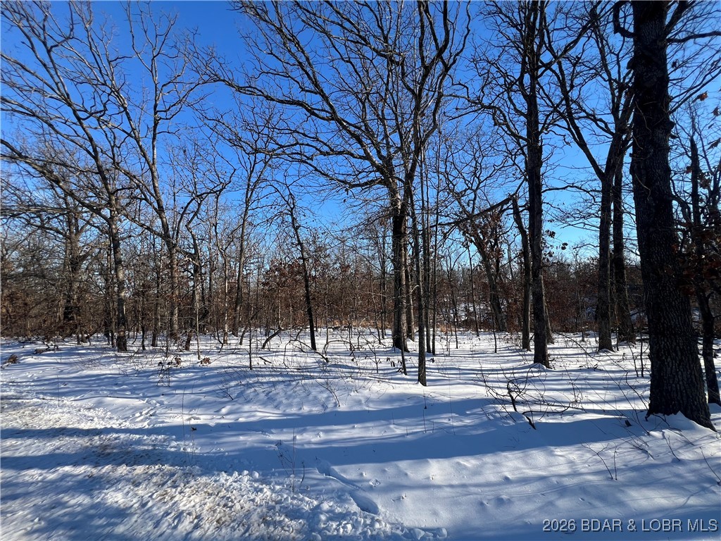 Partridge Drive Climax Springs, MO 65324 - Photo 13 of 27